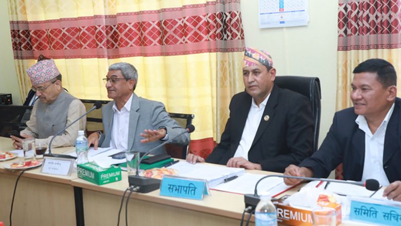 संसदीय समितिले पारित गर्यो नागरिकताका विधेयक